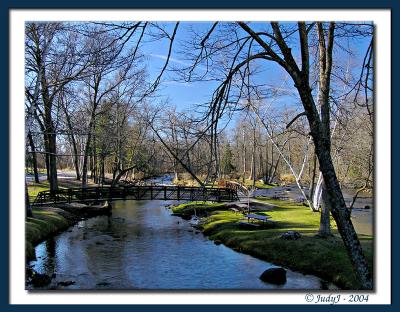 u48/shebalee928/medium/37046002.BrainerdParkBridge1.jpg
