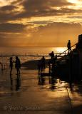 Early morning swimmers at Collaroy Beach