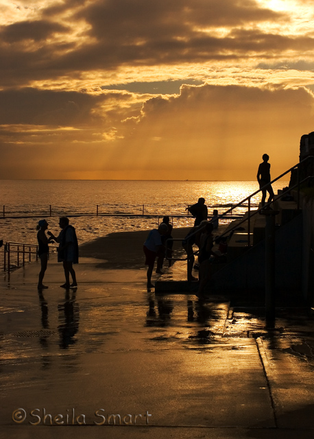 Early morning swimmers at Collaroy Beach