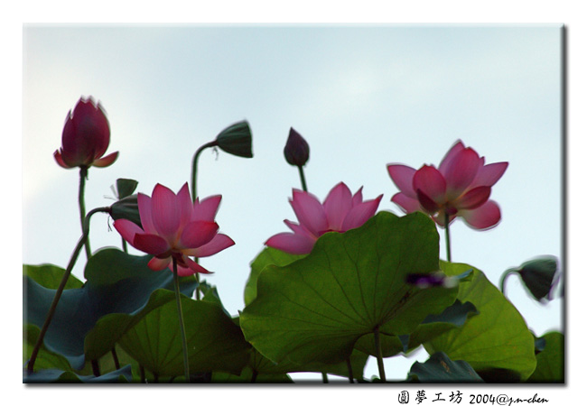 DSC_0042.jpg