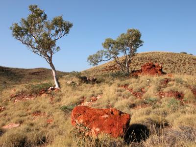 Pannawonica - North Western Australia