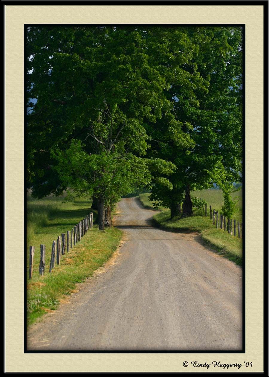 Smoky Mountain Series 514