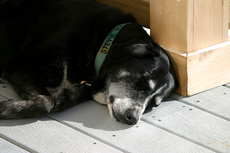 sleeping it off