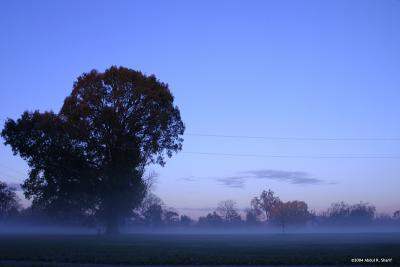 Shawnee Park Foggy Morning