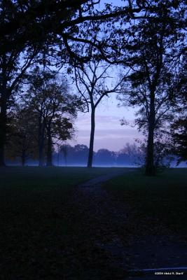 Shawnee Park Foggy Morning
