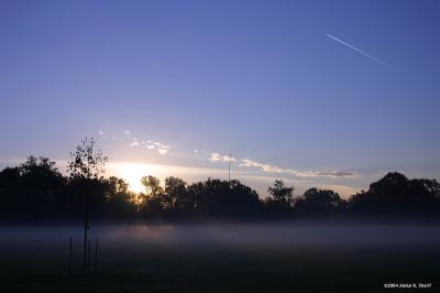 Foggy Morning