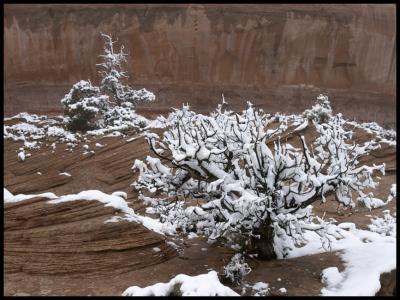 WM-SOUT-2004 -1119 - 0743 - Landmarks of the Southwest copie.jpg