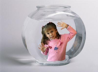 Nov. 29, 2004 - Living in a fishbowl
