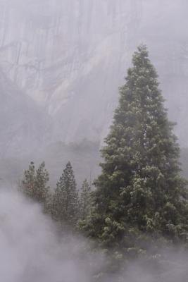 u48/sphomphanh/medium/36973554.IMG21838mist.jpg