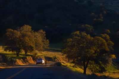 u48/sphomphanh/medium/36974192.IMG22260fall.jpg