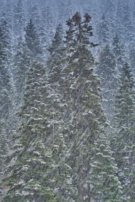 first snow in squaw valley- long exposure & gradient filter