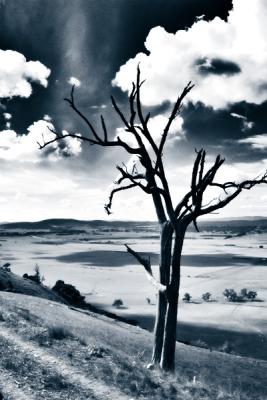 lake george escarpment.jpg