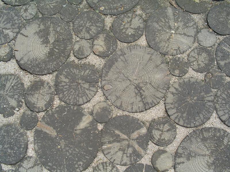 Dongguk Dae Hakgyo, Seoul