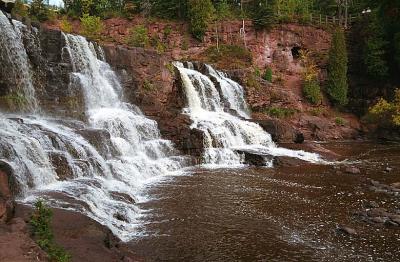 u48/stevesfotos/medium/37159125.Goosbrry08.jpg