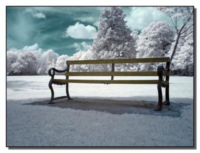 Bench in IRby Mark Briggs
