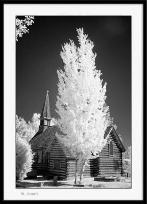 The TreeBy Judy Sinclair