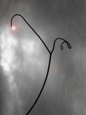 Healing Rain