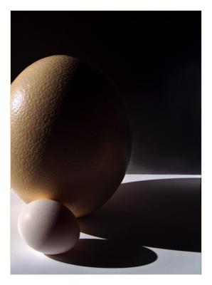 Big Egg, Little Egg  by mlynn