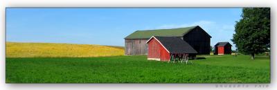 Byron Farm