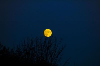 Yellow Moon