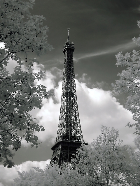 Eiffel Tower<br><font size=1>by kt</font>