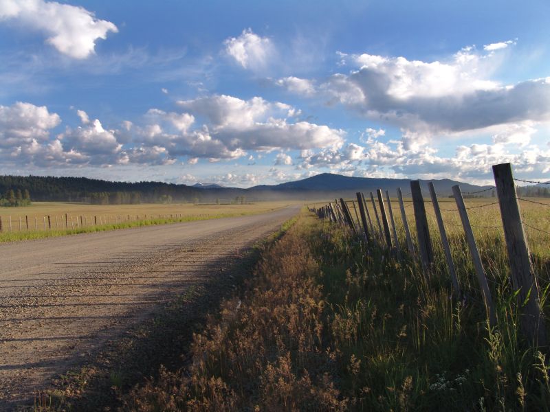 Lonely Road at Dawn by tcd