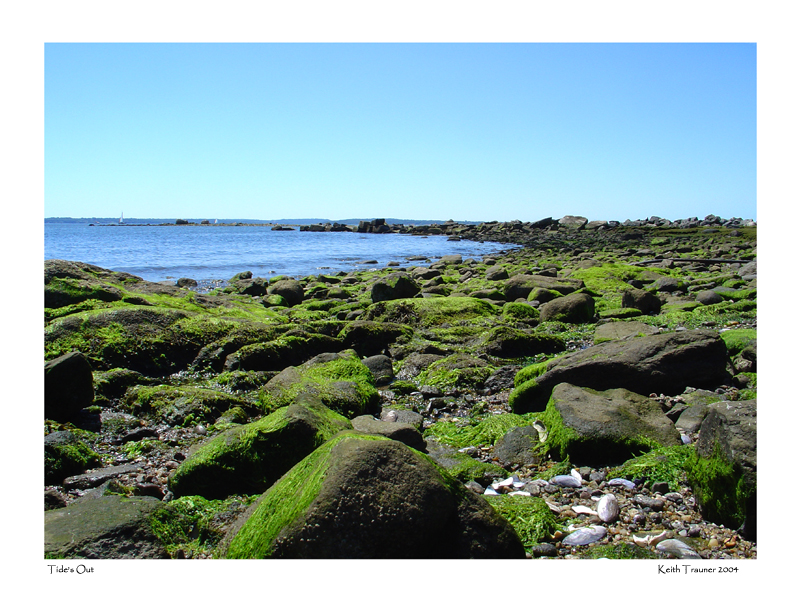 Tides Out by Keith T.*