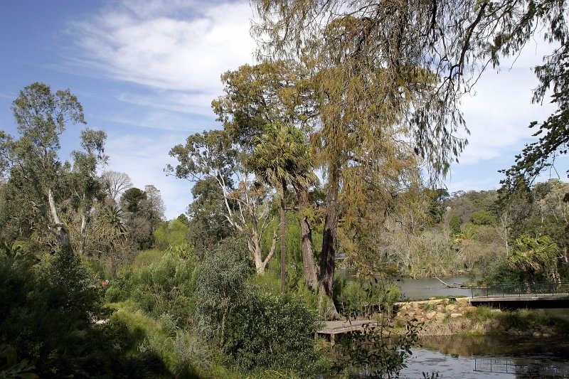 <b>Royal Botanic Gardens, Melbourne</b><br><font size=1>by Mike Fitzgerald</font>