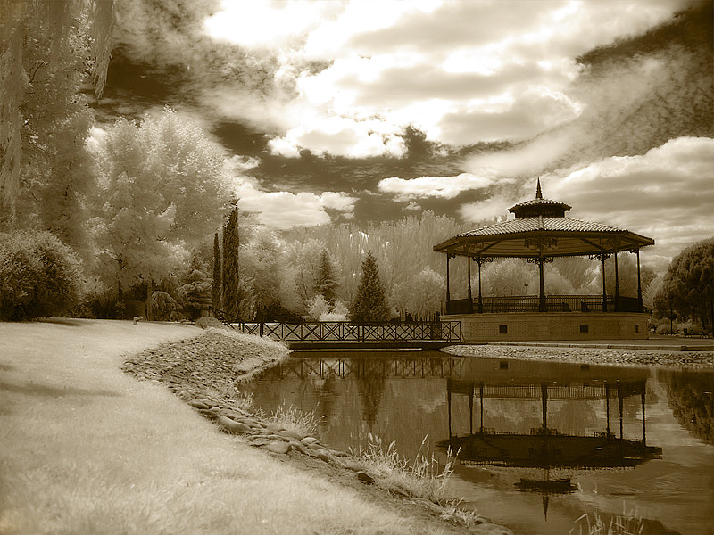 My Home Town Gardens* by JesusV
