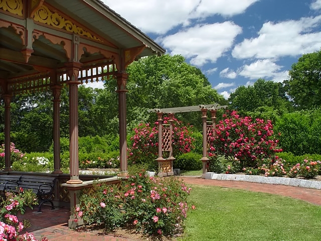 Rose Garden<br>by joandaniel