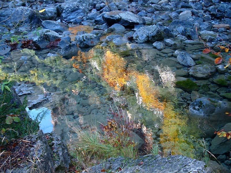 <b>2nd place (tie)<br></b>Agua otoal * by Doris Baillet