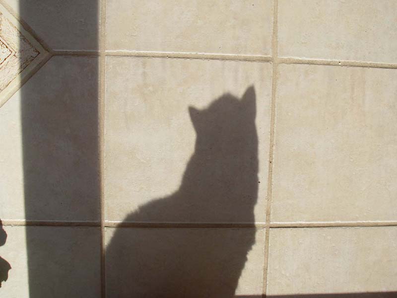 My Other Shadow