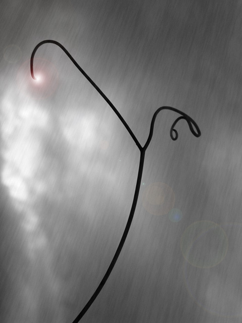 Healing Rain