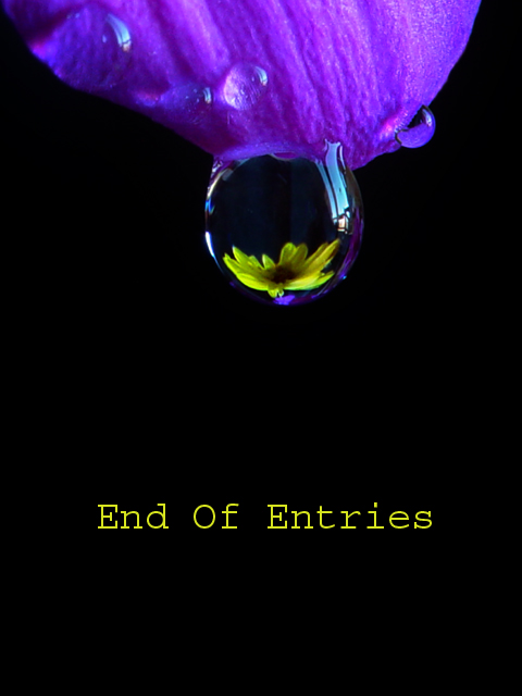 End of entries<br>not for voting