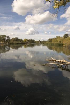 Clouds over Heather Farm Lake