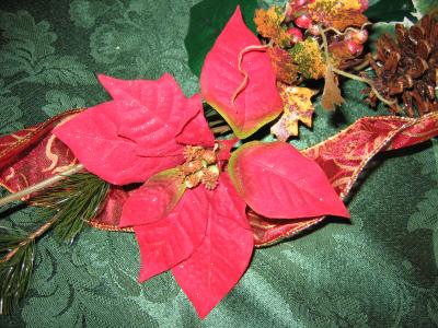 november_2004