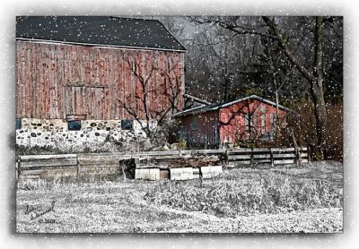 Down On The Farm