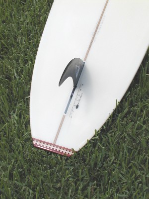 SanO tailbottom.jpg