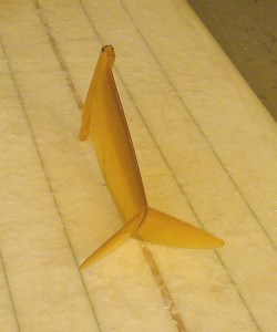 P1010025a.JPG