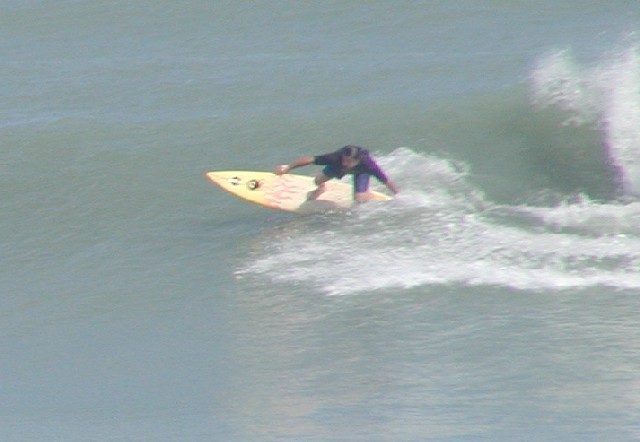 P1010113a.JPG