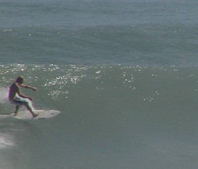 P1010045a.JPG