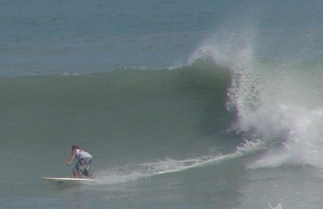 P1010127a.JPG