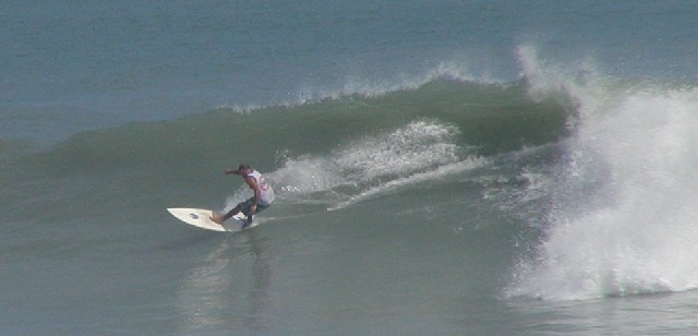 P1010130a.JPG