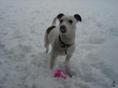 Chuck winter 2004