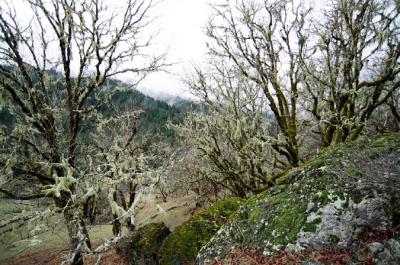 February 20 2005
