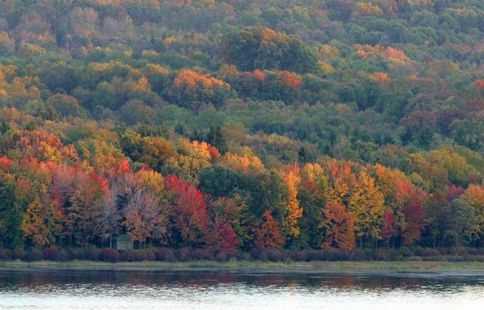 Fall2004_7.jpg