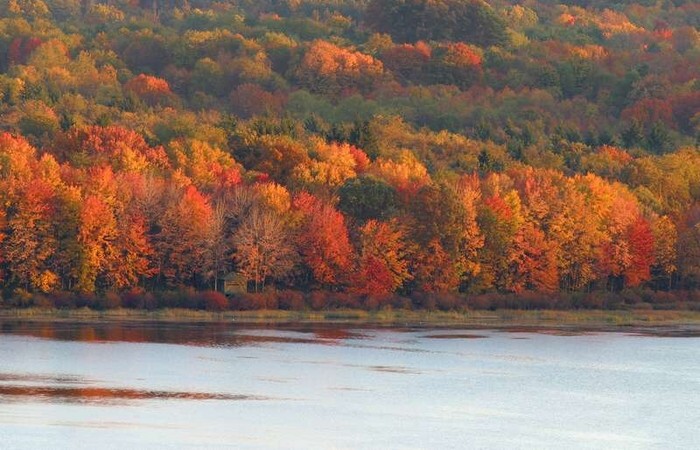 Fall2004_9.jpg