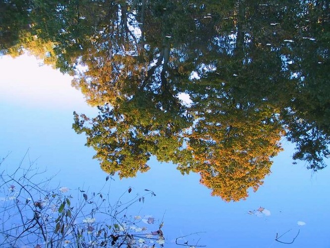 Fall2004_10.jpg