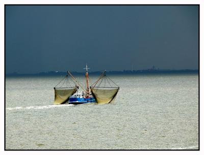 Waddenzee - DSCN00621.jpg