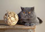 CB poses with the celery root